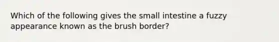 Which of the following gives the small intestine a fuzzy appearance known as the brush border?