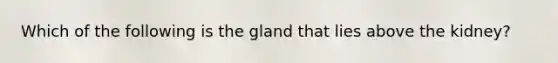 Which of the following is the gland that lies above the kidney?