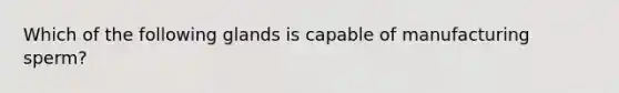 Which of the following glands is capable of manufacturing sperm?