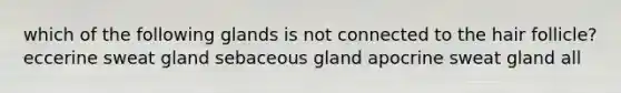 which of the following glands is not connected to the hair follicle? eccerine sweat gland sebaceous gland apocrine sweat gland all