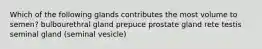 Which of the following glands contributes the most volume to semen? bulbourethral gland prepuce prostate gland rete testis seminal gland (seminal vesicle)