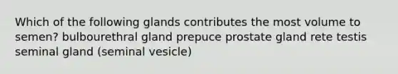 Which of the following glands contributes the most volume to semen? bulbourethral gland prepuce prostate gland rete testis seminal gland (seminal vesicle)