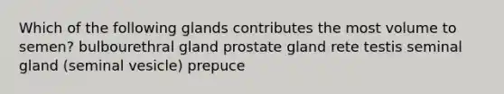 Which of the following glands contributes the most volume to semen? bulbourethral gland prostate gland rete testis seminal gland (seminal vesicle) prepuce