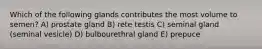 Which of the following glands contributes the most volume to semen? A) prostate gland B) rete testis C) seminal gland (seminal vesicle) D) bulbourethral gland E) prepuce