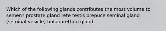 Which of the following glands contributes the most volume to semen? prostate gland rete testis prepuce seminal gland (seminal vesicle) bulbourethral gland