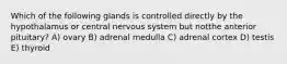 Which of the following glands is controlled directly by the hypothalamus or central nervous system but notthe anterior pituitary? A) ovary B) adrenal medulla C) adrenal cortex D) testis E) thyroid