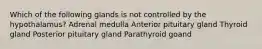 Which of the following glands is not controlled by the hypothalamus? Adrenal medulla Anterior pituitary gland Thyroid gland Posterior pituitary gland Parathyroid goand