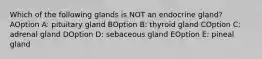 Which of the following glands is NOT an endocrine gland? AOption A: pituitary gland BOption B: thyroid gland COption C: adrenal gland DOption D: sebaceous gland EOption E: pineal gland