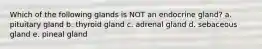 Which of the following glands is NOT an endocrine gland? a. pituitary gland b. thyroid gland c. adrenal gland d. sebaceous gland e. pineal gland