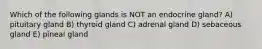 Which of the following glands is NOT an endocrine gland? A) pituitary gland B) thyroid gland C) adrenal gland D) sebaceous gland E) pineal gland
