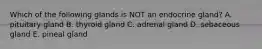 Which of the following glands is NOT an endocrine gland? A. pituitary gland B. thyroid gland C. adrenal gland D. sebaceous gland E. pineal gland