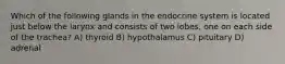 Which of the following glands in the endocrine system is located just below the larynx and consists of two lobes, one on each side of the trachea? A) thyroid B) hypothalamus C) pituitary D) adrenal