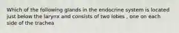 Which of the following glands in the endocrine system is located just below the larynx and consists of two lobes , one on each side of the trachea