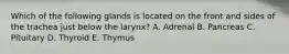 Which of the following glands is located on the front and sides of the trachea just below the larynx? A. Adrenal B. Pancreas C. Pituitary D. Thyroid E. Thymus