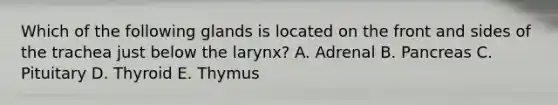 Which of the following glands is located on the front and sides of the trachea just below the larynx? A. Adrenal B. Pancreas C. Pituitary D. Thyroid E. Thymus