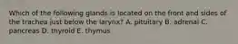 Which of the following glands is located on the front and sides of the trachea just below the larynx? A. pituitary B. adrenal C. pancreas D. thyroid E. thymus