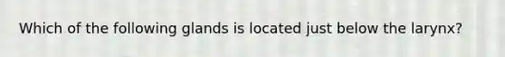 Which of the following glands is located just below the larynx?