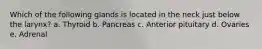Which of the following glands is located in the neck just below the larynx? a. Thyroid b. Pancreas c. Anterior pituitary d. Ovaries e. Adrenal