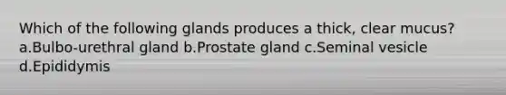 Which of the following glands produces a thick, clear mucus? a.Bulbo-urethral gland b.Prostate gland c.Seminal vesicle d.Epididymis