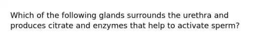 Which of the following glands surrounds the urethra and produces citrate and enzymes that help to activate sperm?