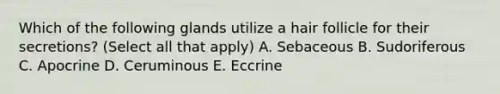 Which of the following glands utilize a hair follicle for their secretions? (Select all that apply) A. Sebaceous B. Sudoriferous C. Apocrine D. Ceruminous E. Eccrine