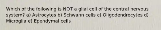 Which of the following is NOT a glial cell of the central nervous system? a) Astrocytes b) Schwann cells c) Oligodendrocytes d) Microglia e) Ependymal cells