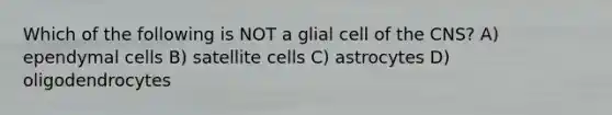 Which of the following is NOT a glial cell of the CNS? A) ependymal cells B) satellite cells C) astrocytes D) oligodendrocytes