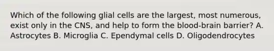 Which of the following glial cells are the largest, most numerous, exist only in the CNS, and help to form the blood-brain barrier? A. Astrocytes B. Microglia C. Ependymal cells D. Oligodendrocytes