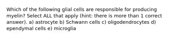 Which of the following glial cells are responsible for producing myelin? Select ALL that apply (hint: there is <a href='https://www.questionai.com/knowledge/keWHlEPx42-more-than' class='anchor-knowledge'>more than</a> 1 correct answer). a) astrocyte b) Schwann cells c) oligodendrocytes d) ependymal cells e) microglia