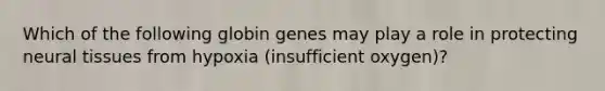 Which of the following globin genes may play a role in protecting neural tissues from hypoxia (insufficient oxygen)?