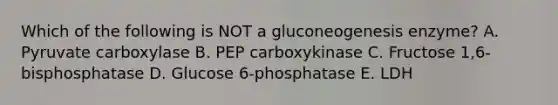 Which of the following is NOT a gluconeogenesis enzyme? A. Pyruvate carboxylase B. PEP carboxykinase C. Fructose 1,6-bisphosphatase D. Glucose 6-phosphatase E. LDH