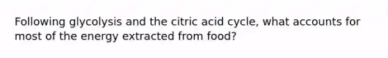 Following glycolysis and the citric acid cycle, what accounts for most of the energy extracted from food?