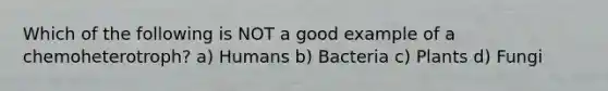 Which of the following is NOT a good example of a chemoheterotroph? a) Humans b) Bacteria c) Plants d) Fungi