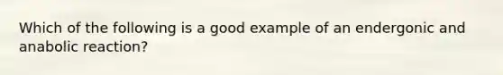 Which of the following is a good example of an endergonic and anabolic reaction?