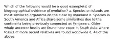 Which of the following would be a good example(s) of biogeographical evidence of evolution? a. Species on islands are most similar to organisms on the close by mainland b. Species in South America and Africa share some similarities due to the continents being previously connected as Pangaea c. Older whale ancestor fossils are found near coast in South Asia, where fossils of more recent relatives are found worldwide d. All of the above