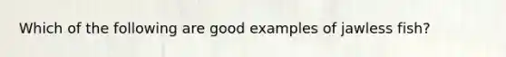 Which of the following are good examples of jawless fish?