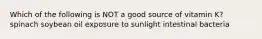Which of the following is NOT a good source of vitamin K? spinach soybean oil exposure to sunlight intestinal bacteria