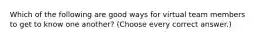 Which of the following are good ways for virtual team members to get to know one another? (Choose every correct answer.)