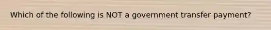 Which of the following is NOT a government transfer payment?