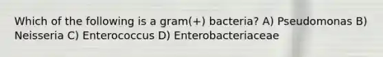 Which of the following is a gram(+) bacteria? A) Pseudomonas B) Neisseria C) Enterococcus D) Enterobacteriaceae