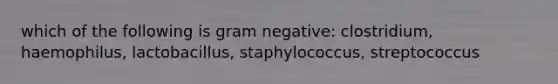 which of the following is gram negative: clostridium, haemophilus, lactobacillus, staphylococcus, streptococcus