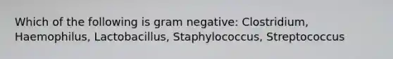 Which of the following is gram negative: Clostridium, Haemophilus, Lactobacillus, Staphylococcus, Streptococcus