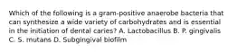 Which of the following is a gram-positive anaerobe bacteria that can synthesize a wide variety of carbohydrates and is essential in the initiation of dental caries? A. Lactobacillus B. P. gingivalis C. S. mutans D. Subgingival biofilm