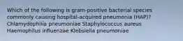 Which of the following is gram-positive bacterial species commonly causing hospital-acquired pneumonia (HAP)? Chlamydophilia pneumoniae Staphylococcus aureus Haemophilus influenzae Klebsiella pneumoniae