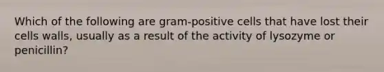 Which of the following are gram-positive cells that have lost their cells walls, usually as a result of the activity of lysozyme or penicillin?