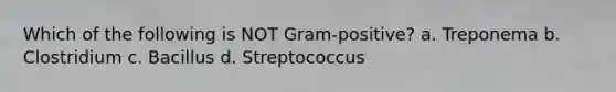 Which of the following is NOT Gram-positive? a. Treponema b. Clostridium c. Bacillus d. Streptococcus