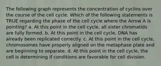 The following graph represents the concentration of cyclins over the course of the cell cycle. Which of the following statements is TRUE regarding the phase of the cell cycle where the Arrow A is pointing? a. At this point in the cell cycle, all sister chromatids are fully formed. b. At this point in the cell cycle, DNA has already been replicated correctly. c. At this point in the cell cycle, chromosomes have properly aligned on the metaphase plate and are beginning to separate. d. At this point in the cell cycle, the cell is determining if conditions are favorable for cell division.