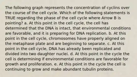 The following graph represents the concentration of cyclins over the course of the cell cycle. Which of the following statements is TRUE regarding the phase of the cell cycle where Arrow B is pointing? a. At this point in the cell cycle, the cell has determined that the DNA is intact, that environmental conditions are favorable, and it is preparing for DNA replication. b. At this point in the cell cycle, chromosomes have properly aligned on the metaphase plate and are beginning to separate. c. At this point in the cell cycle, DNA has already been replicated and divided into two daughter nuclei. d. At this point in the cycle the cell is determining if environmental conditions are favorable for growth and proliferation. e. At this point in the cycle the cell is continuing to grow and make abundant tubulin proteins.