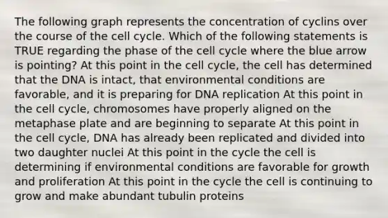 The following graph represents the concentration of cyclins over the course of the cell cycle. Which of the following statements is TRUE regarding the phase of the cell cycle where the blue arrow is pointing? At this point in the cell cycle, the cell has determined that the DNA is intact, that environmental conditions are favorable, and it is preparing for DNA replication At this point in the cell cycle, chromosomes have properly aligned on the metaphase plate and are beginning to separate At this point in the cell cycle, DNA has already been replicated and divided into two daughter nuclei At this point in the cycle the cell is determining if environmental conditions are favorable for growth and proliferation At this point in the cycle the cell is continuing to grow and make abundant tubulin proteins