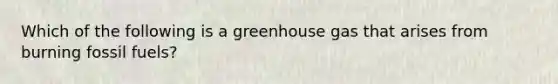 Which of the following is a greenhouse gas that arises from burning fossil fuels?